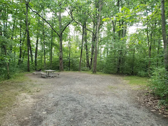 Thompson's Lake Campground 1