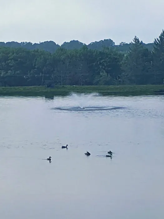 Frosty Acres Campground 7