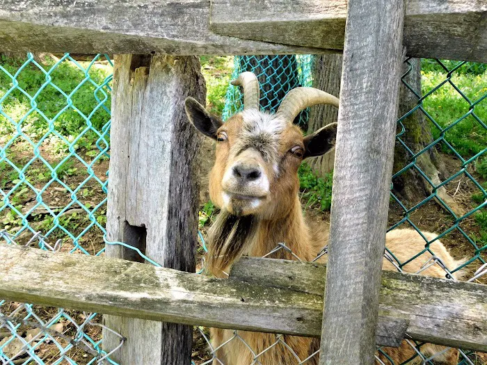 Belvedere Lake Resort 8