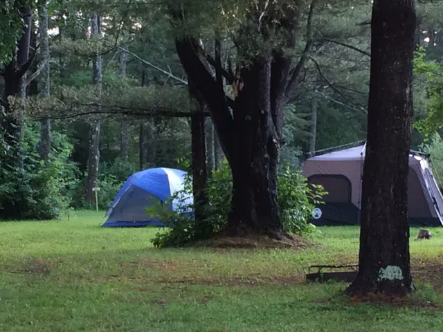 Cooperstown Deer Run Campground 3