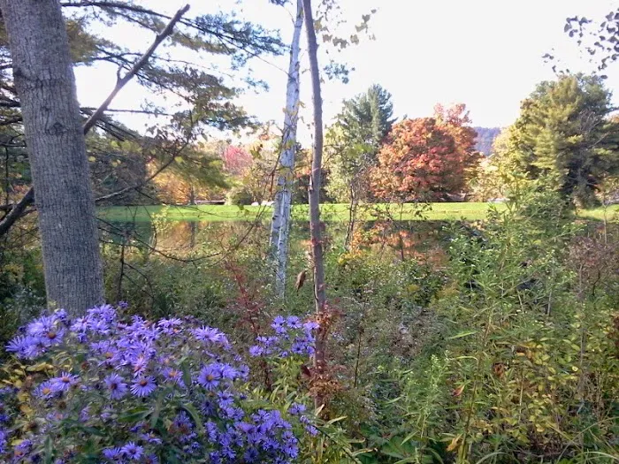 Cooperstown Shadow Brook Campground 9