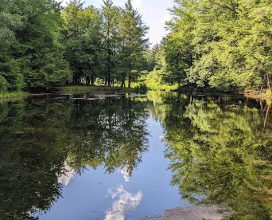 Alps Family Campground Inc