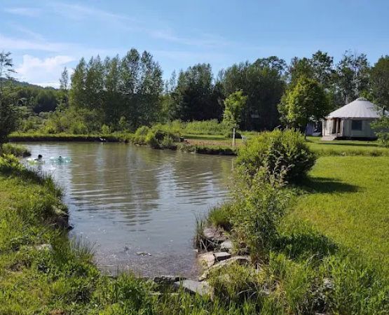 Wyomanock Farm Camping