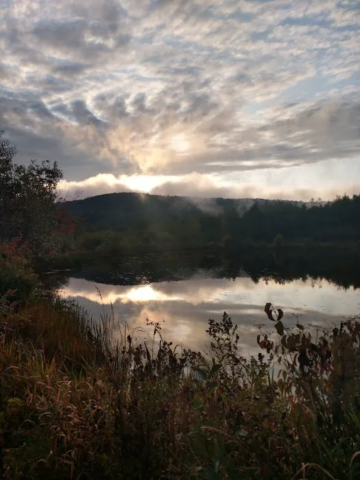 Wyomanock Farm Camping 3