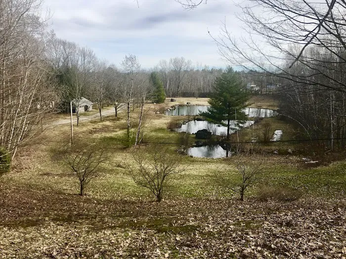 Ponderosa Pine Campground 3