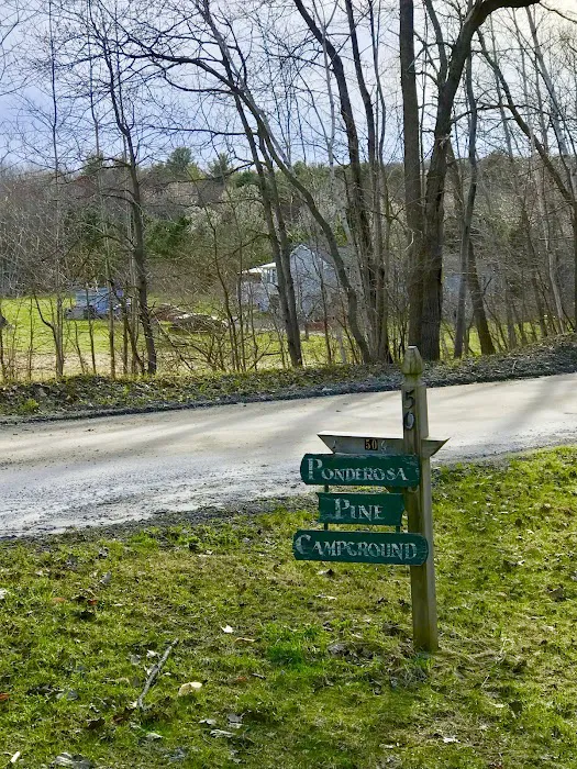 Ponderosa Pine Campground 1