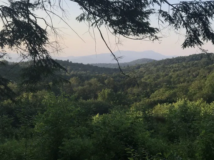 Ponderosa Pine Campground 4