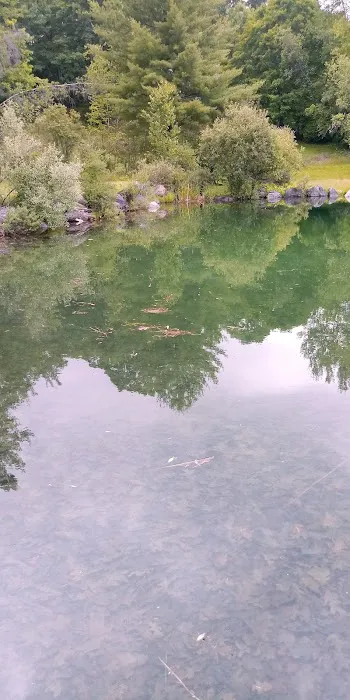 Ponderosa Pine Campground 2