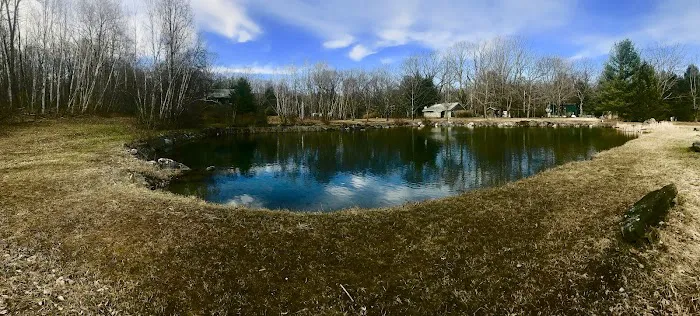 Ponderosa Pine Campground 8