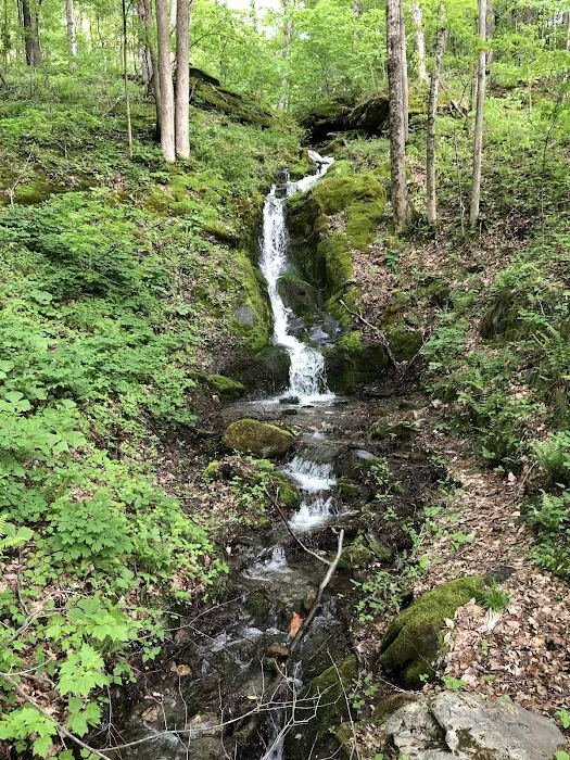 Privacy Campground 7