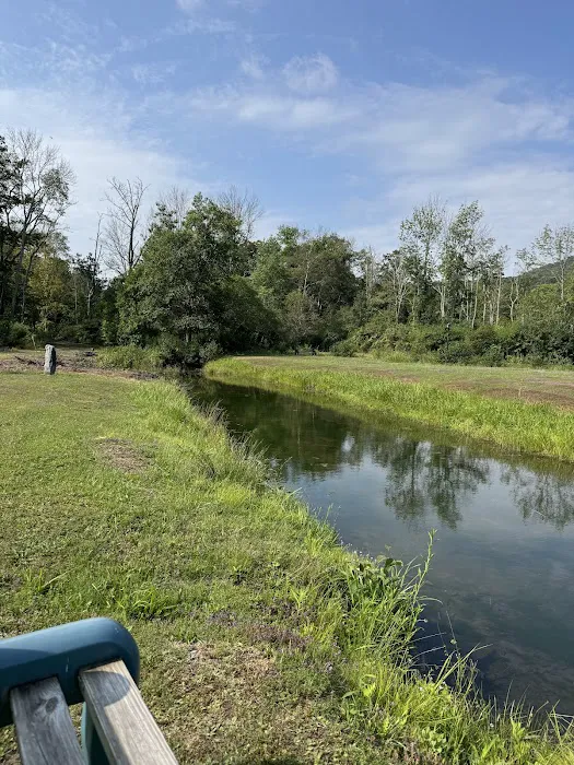 Privacy Campground 0