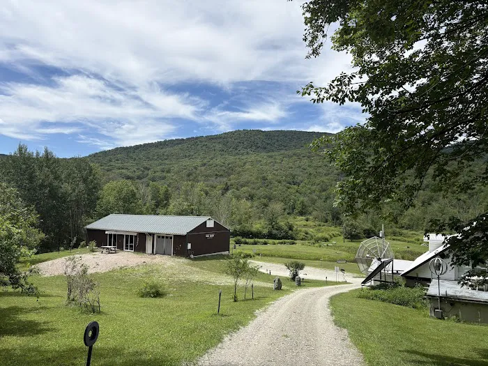 Privacy Campground 5