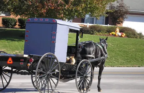 Elizabethtown / Hershey KOA Holiday 6