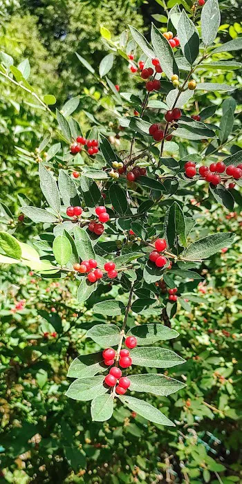 Equine Meadows Condominium 4