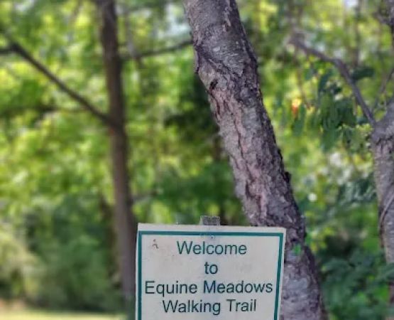 Equine Meadows Condominium