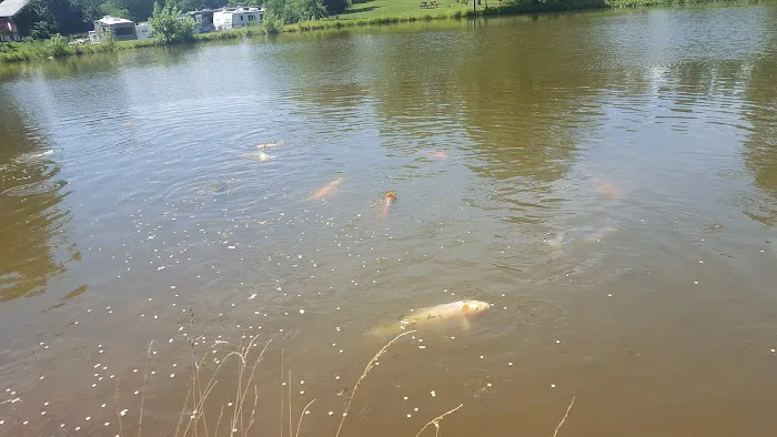 Hershey Conewago Campground 6