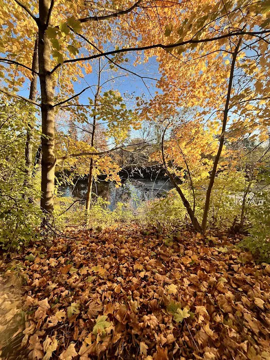 Mill Stream Cottage 8