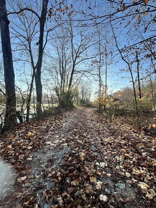 Mill Stream Cottage 7