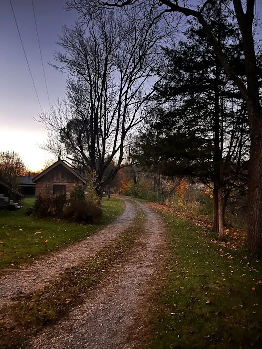 Mill Stream Cottage 5