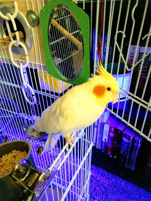 Pine Valley Mobile Court 0