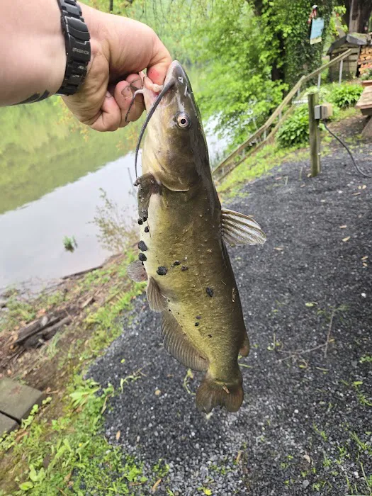 Green Valley Campground-Grocery 6