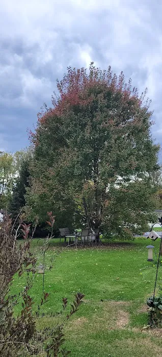 Bridgeway Manufactured Home Community 2