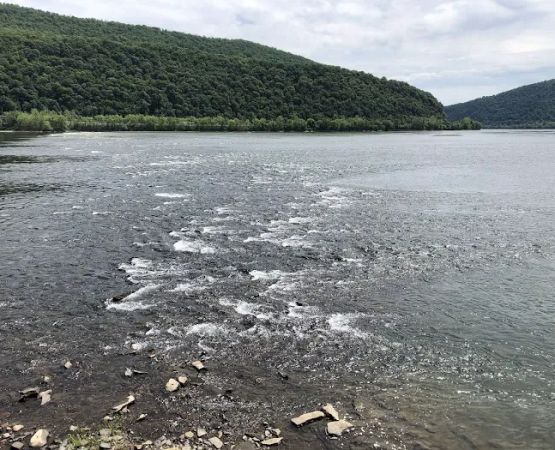 Duncannon Lions Club Campground