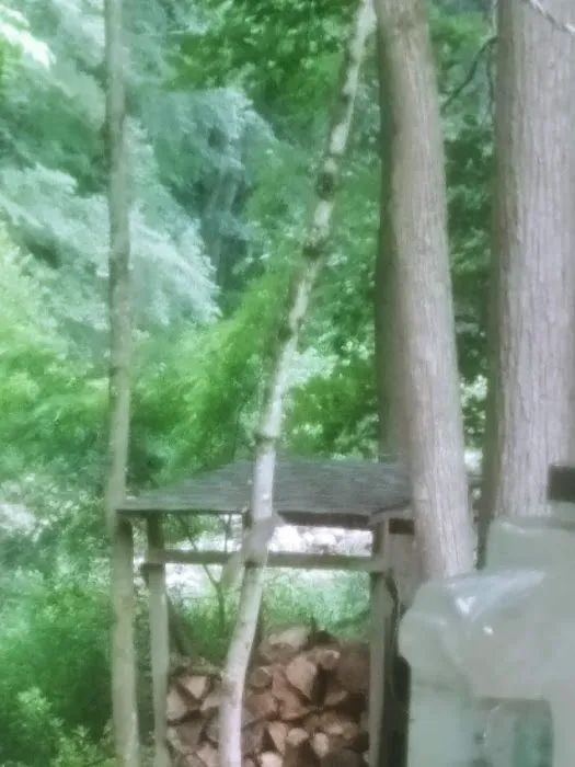 Perry County Recreation Association 6