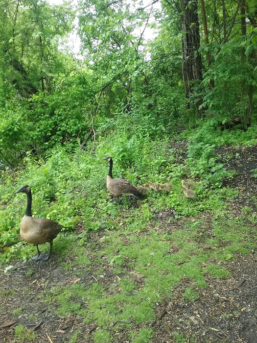 Meadowbrook Mobile Home Park 4