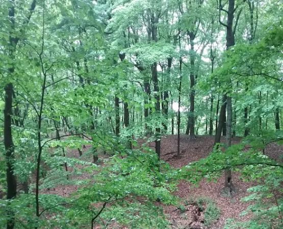 Meadowbrook Mobile Home Park