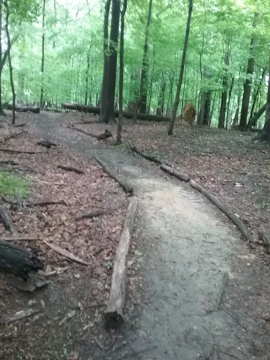 Meadowbrook Mobile Home Park 2