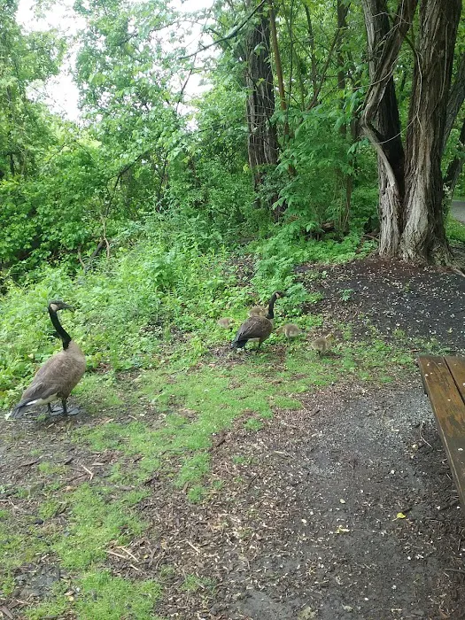 Meadowbrook Mobile Home Park 5