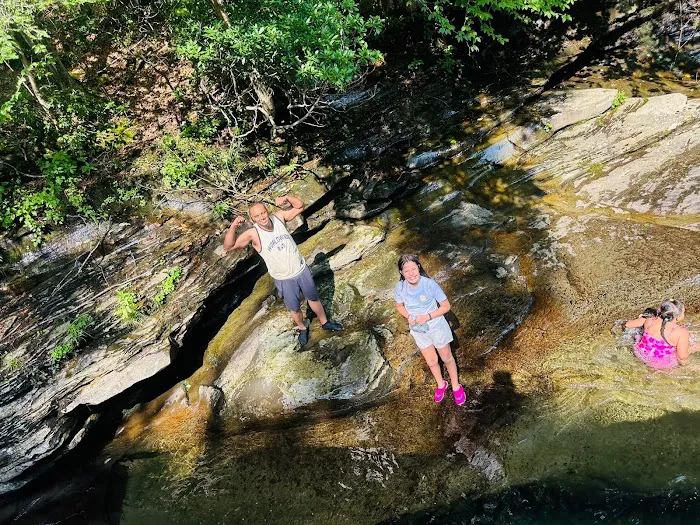 Squarewood Acres Campground 3