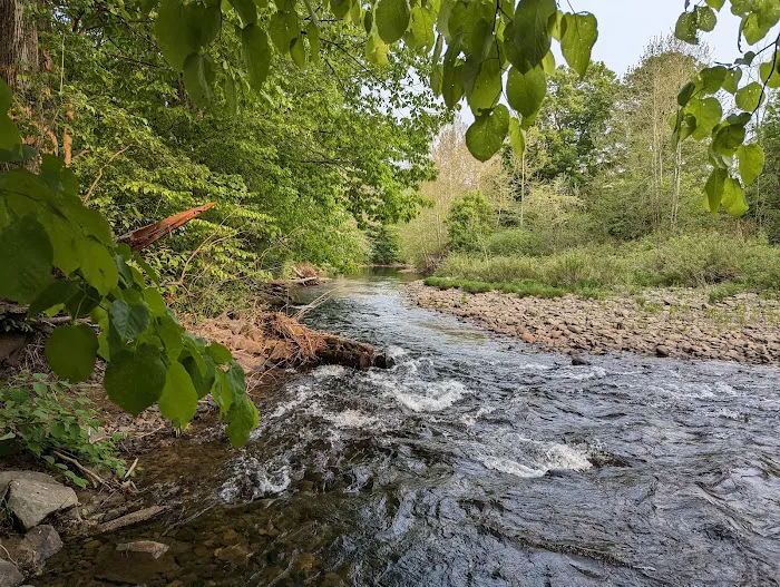 Squarewood Acres Campground 5