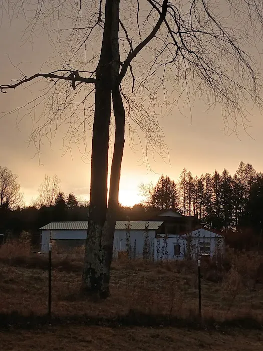 Sugar Creek Rv Park 3