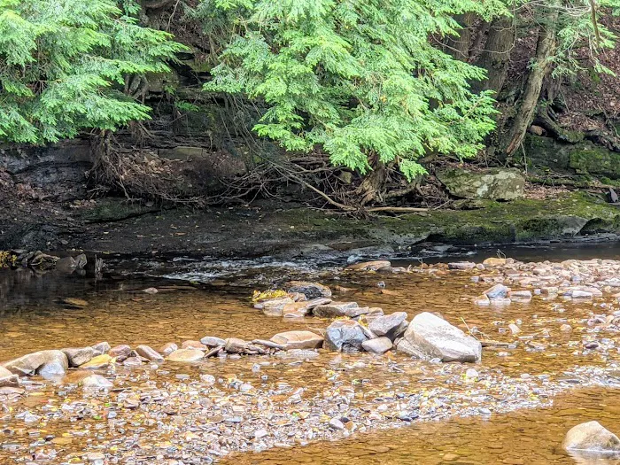 County Bridge Campground 9