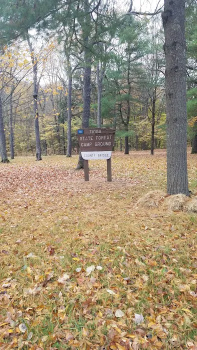 County Bridge Campground 4