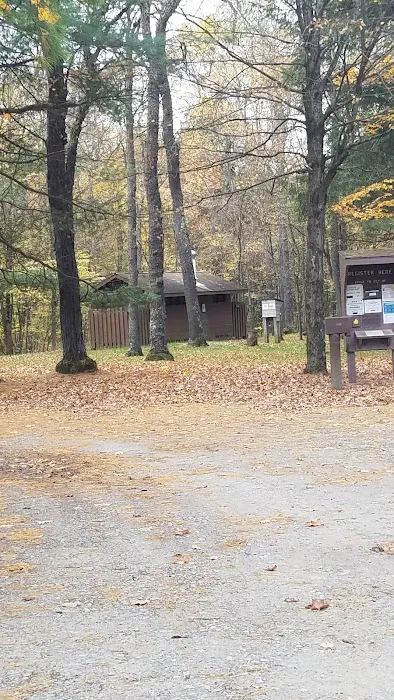 County Bridge Campground 6