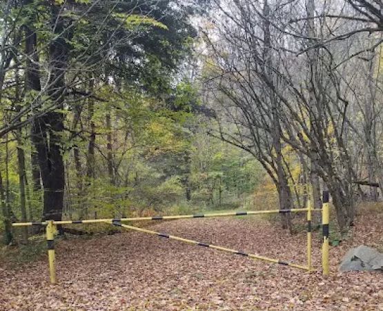 County Bridge Campground