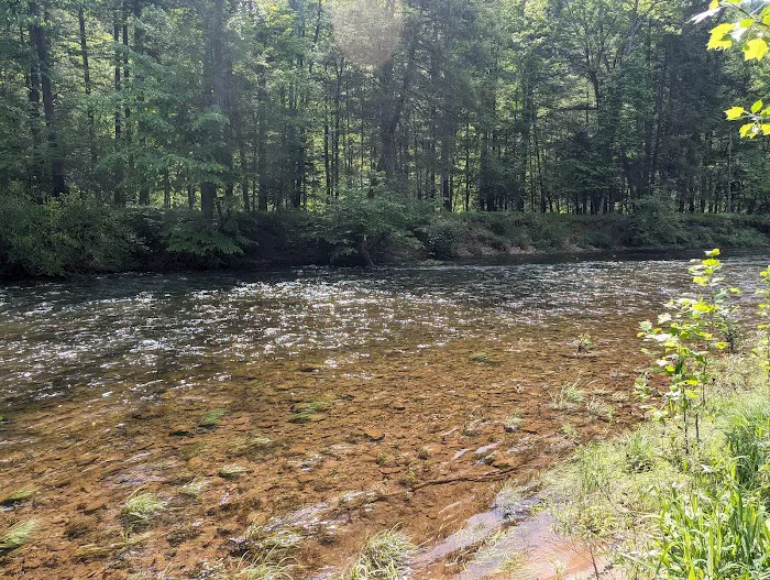 Oilmen's creekside RV sites 7