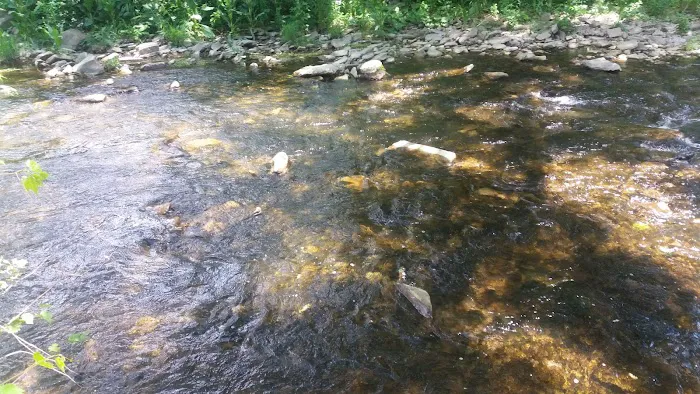 Sunset Mobile Home Park 1