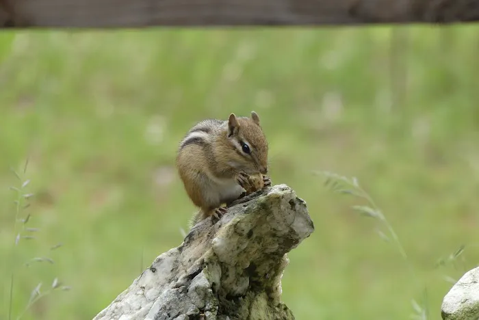 Greens Treat Suites 0