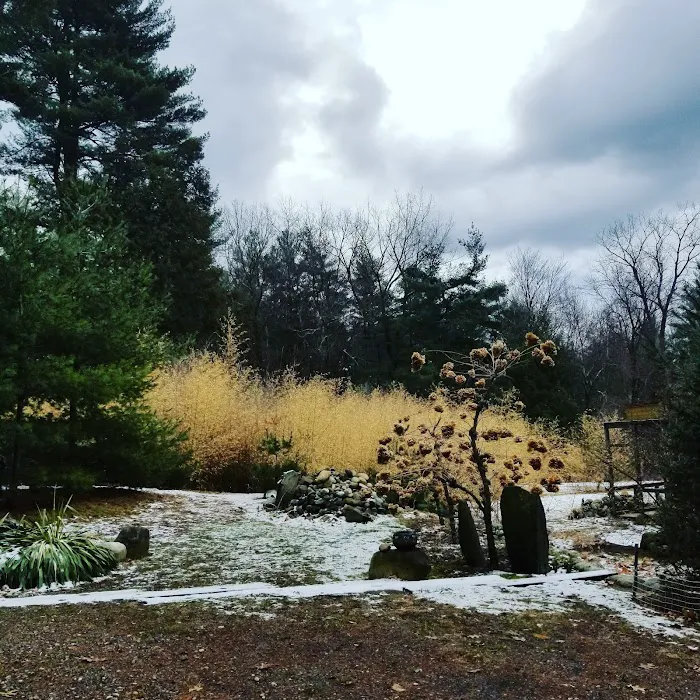 Greens Treat Suites 4