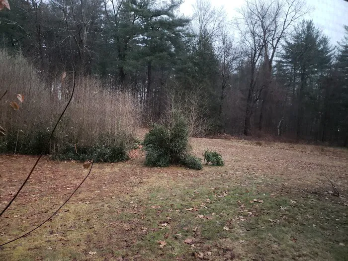 Greens Treat Suites 3