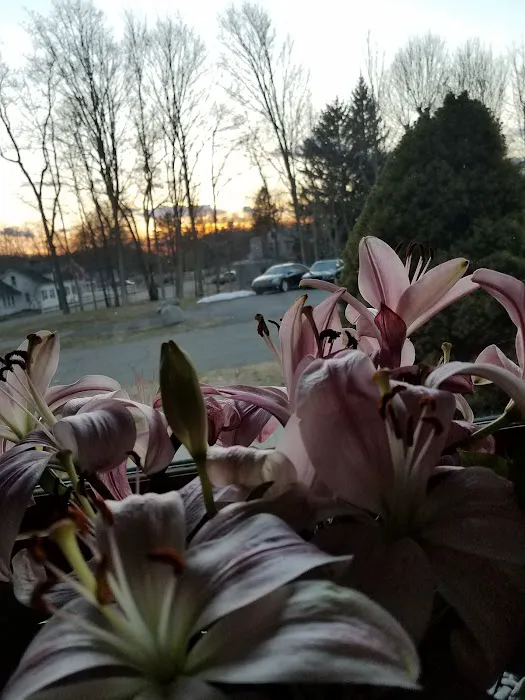 Hillside Valley Mobile Home Community 9