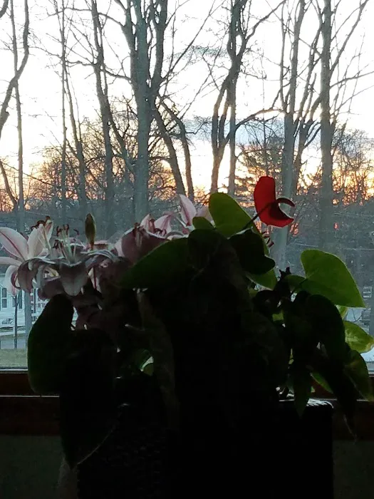 Hillside Valley Mobile Home Community 6