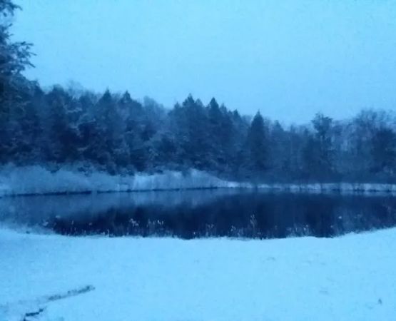 Pine Valley Plantation