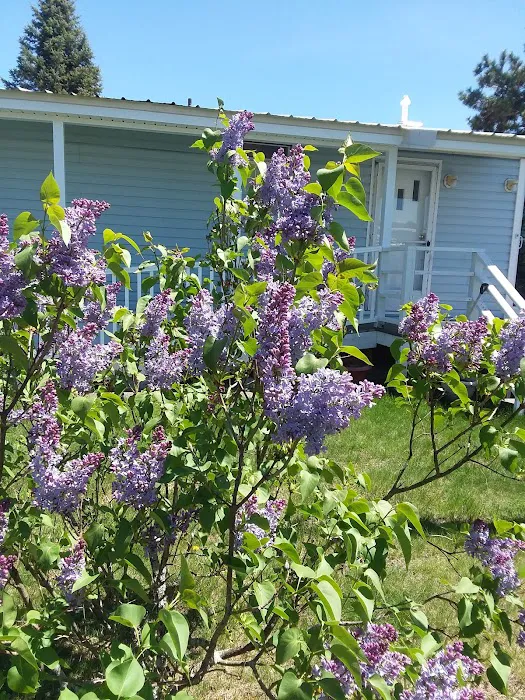 Pine Valley Plantation 8