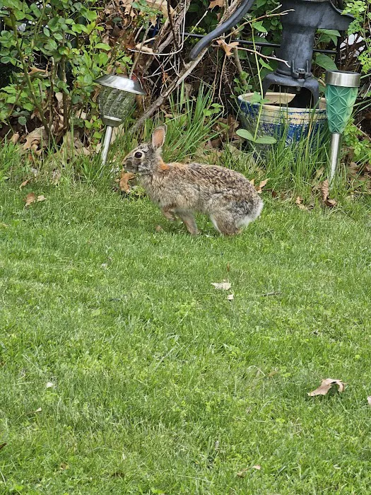 Vernon Village Inc 9