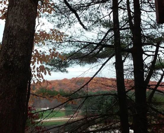 Sun Valley Beach Club